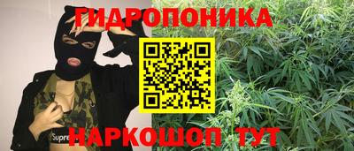 дмт Кимры