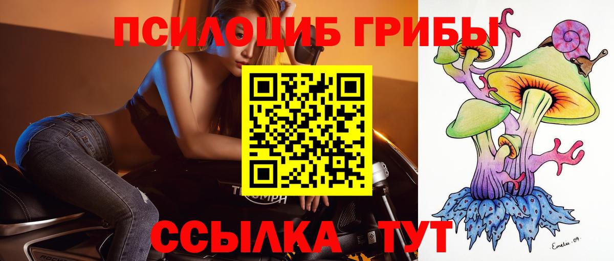 Псилоцибиновые грибы Magic Shrooms Курчалой