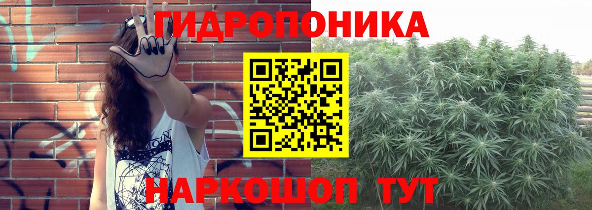 Канабис Bruce Banner Курчалой